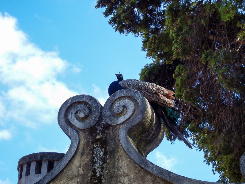 Lisbon Castle