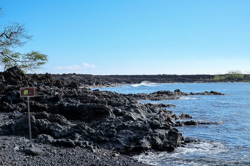 Snorkeling_in_Maui-20a