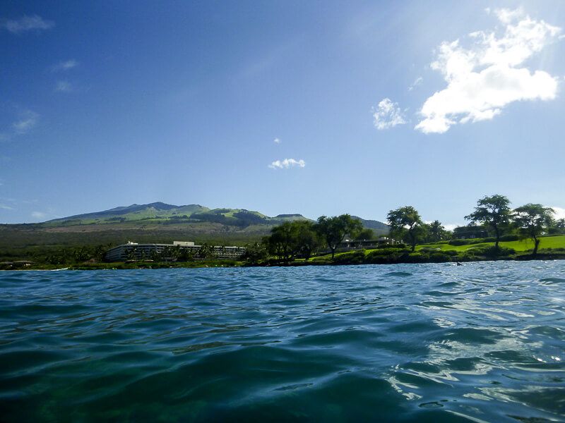 Snorkeling_in_Maui-6