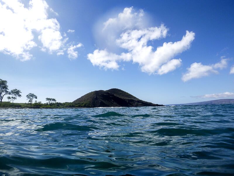 Snorkeling_in_Maui-7