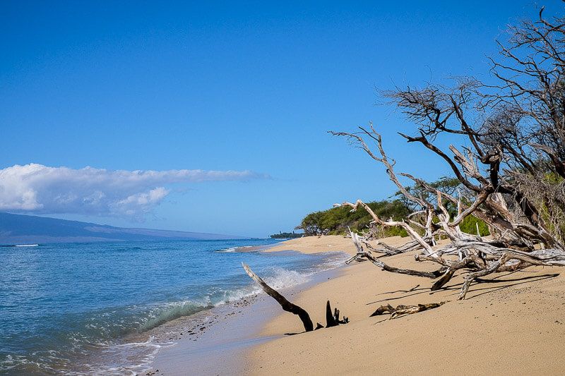 Surfing with Maui Surfer Girls