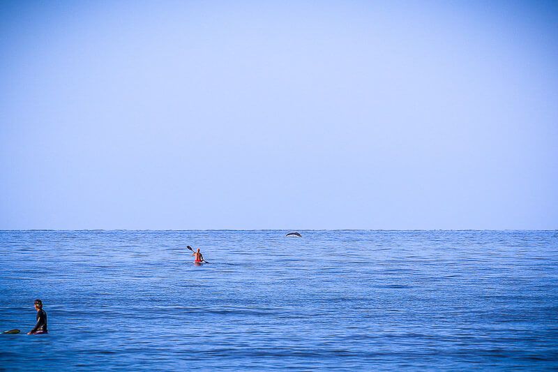 Surfing with Maui Surfer Girls