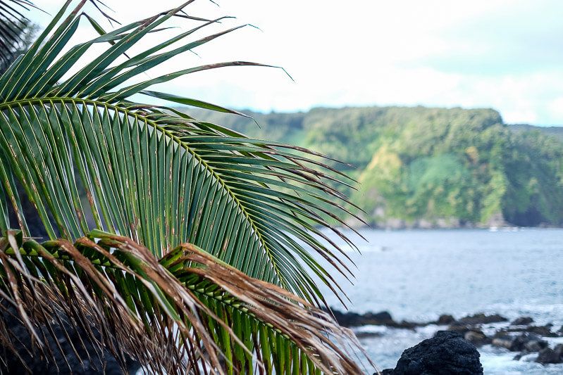 Road to Hana Guide