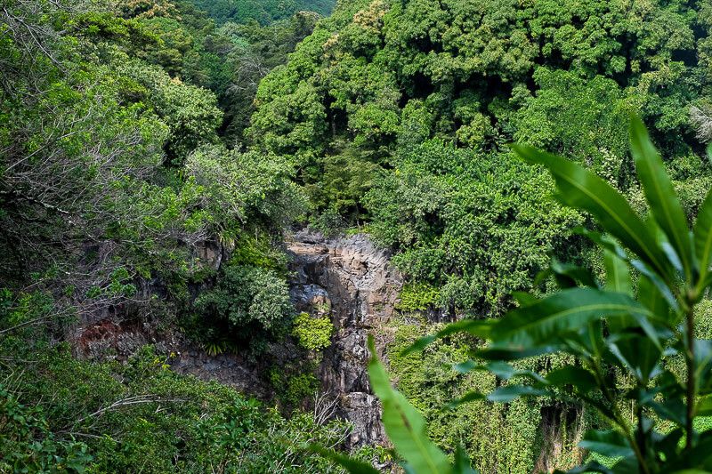 Pipiwai Trail to Waimoku Falls