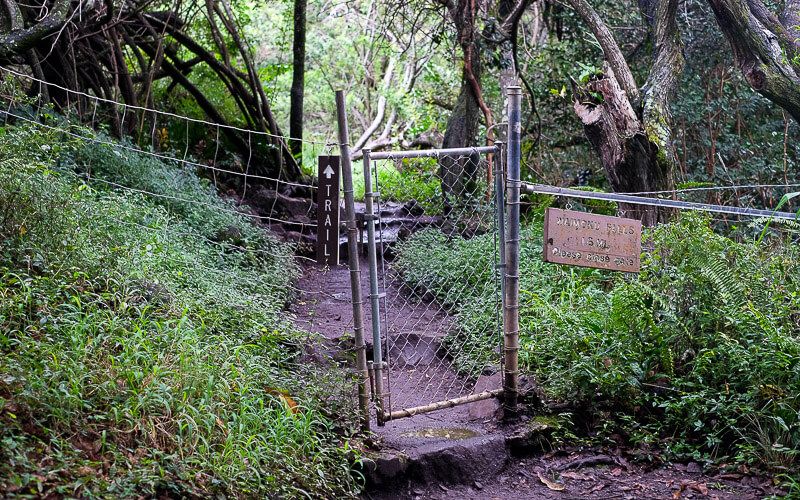 Pipiwai Trail to Waimoku Falls