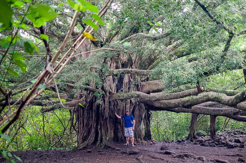 Pipiwai Trail to Waimoku Falls