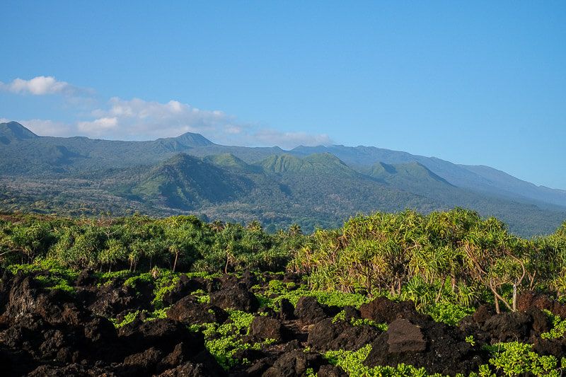 Camping on Maui at Waiʻanapanapa State Park