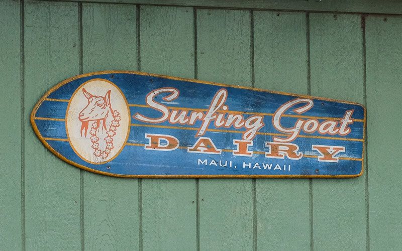 Surfing Goat Dairy