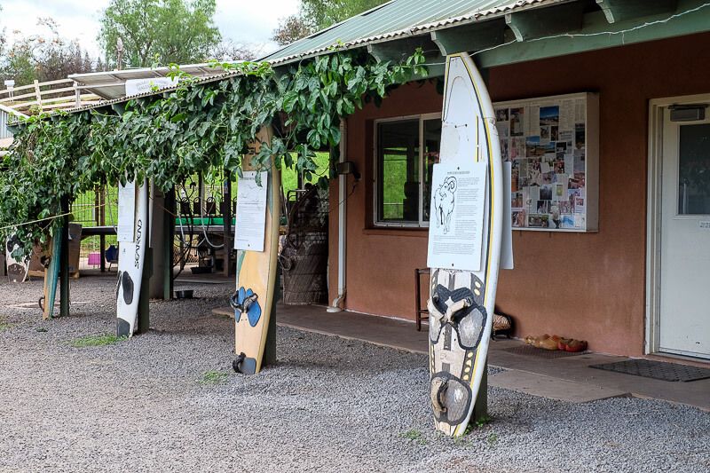 Surfing Goat Dairy