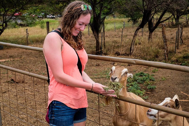 Surfing Goat Dairy