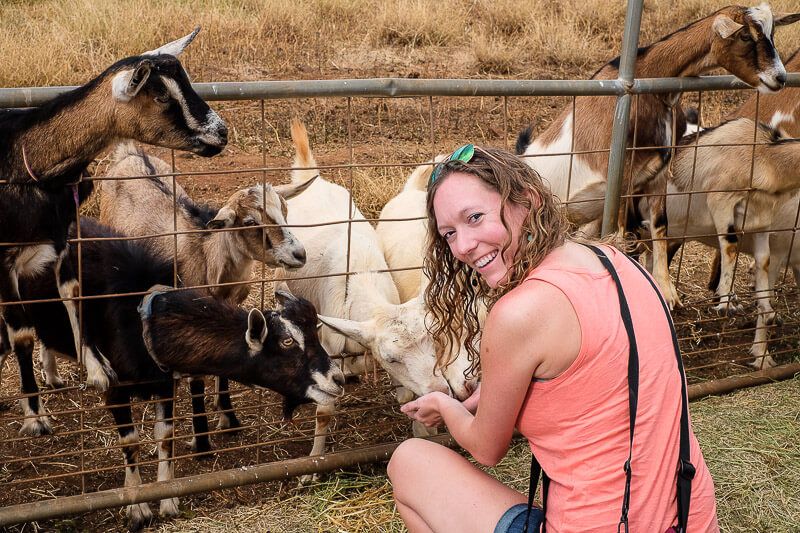 Surfing Goat Dairy