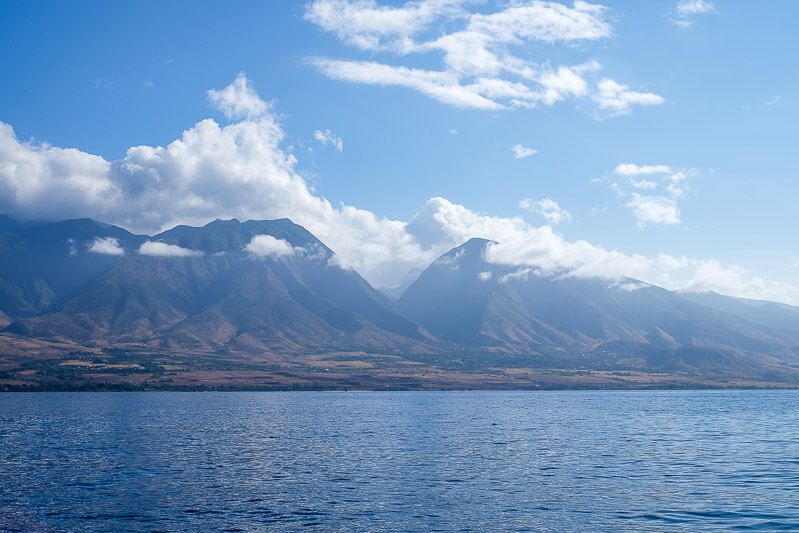 Trilogy Whale Watching