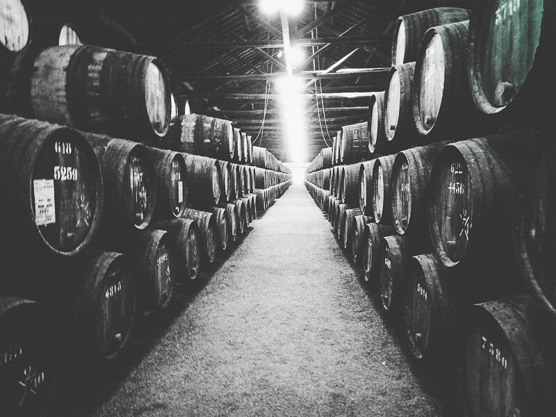 Taylor's port wine cellar tour