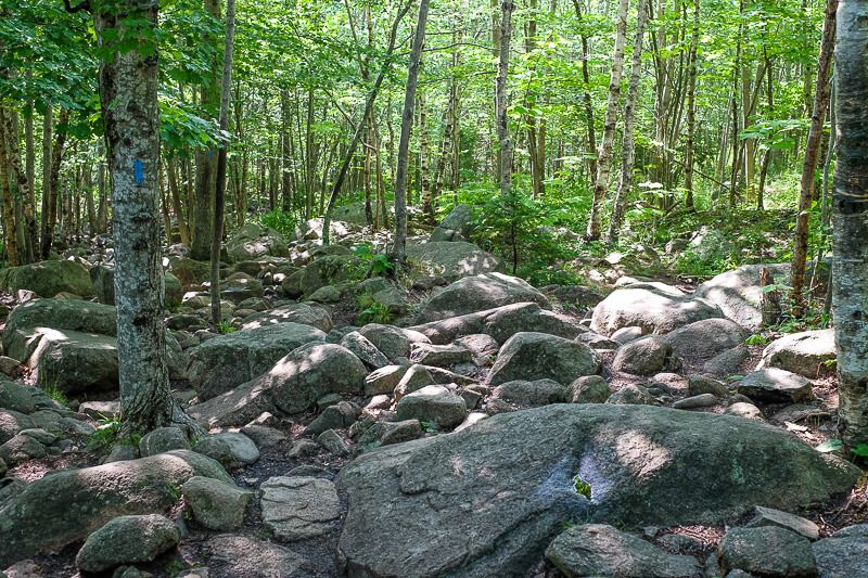 Hiking The Beehive Trail