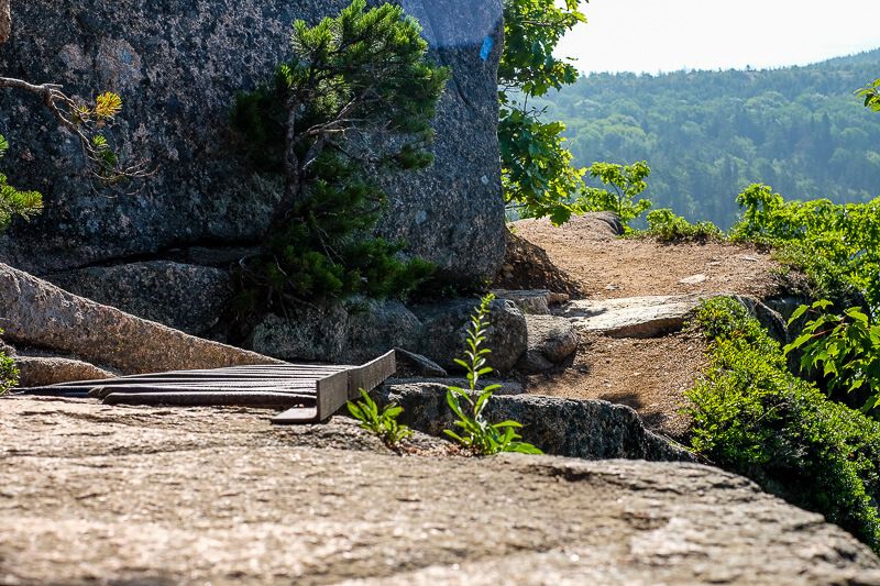 Hiking The Beehive Trail