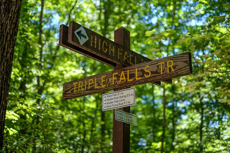 Dupont State Forest