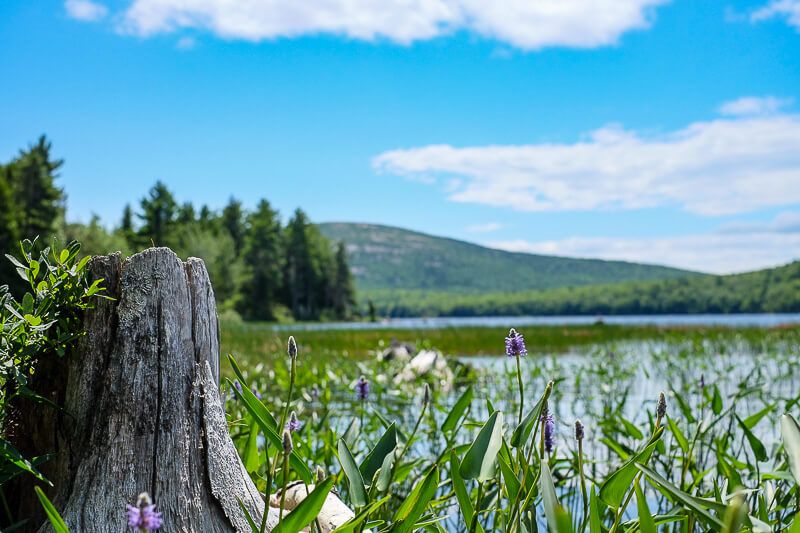 Biking Acadia National Park: Eagle Lake