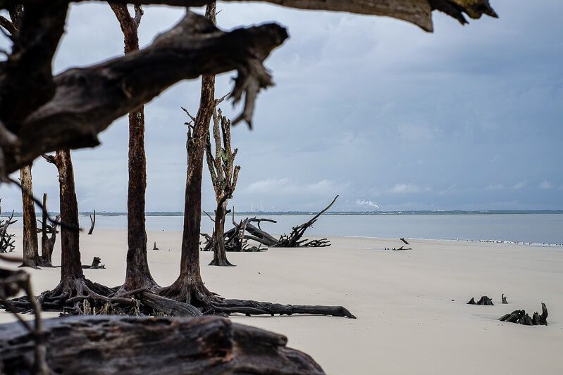 20 Photos of Georgia: Driftwood Beach, Jekyll