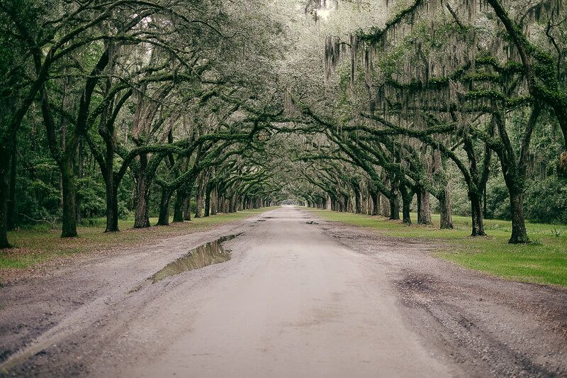 20 Photos of Georgia: Wormsloe, Savannah