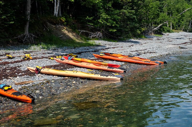 Sea Kayaking in Bar Harbor