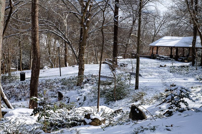 Falls Park: Greenville, SC in the Snow