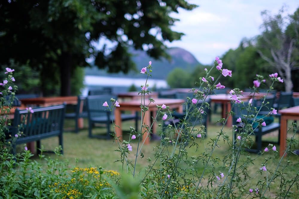 Things to do in Acadia National Park: Jordan Pond House