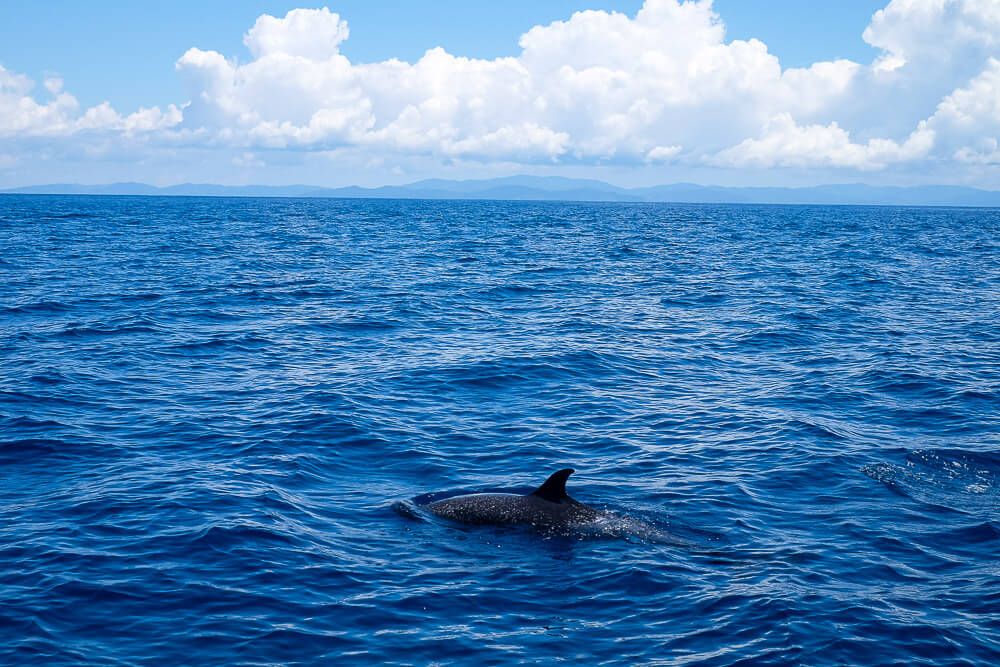 Snorkeling at Cano Island