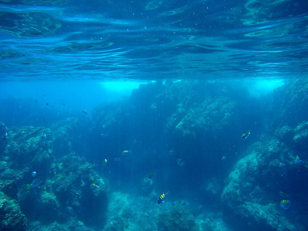 Snorkeling at Cano Island