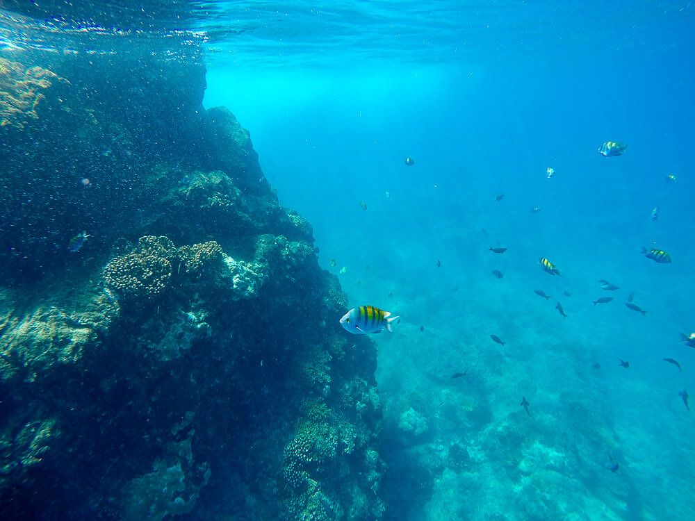 Snorkeling at Cano Island