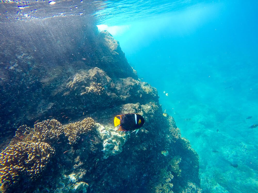 Snorkeling at Cano Island
