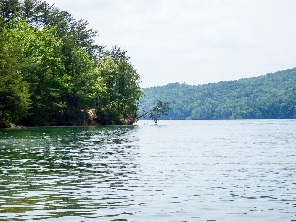 Things to do in Greenville in Summer: Lake Jocassee