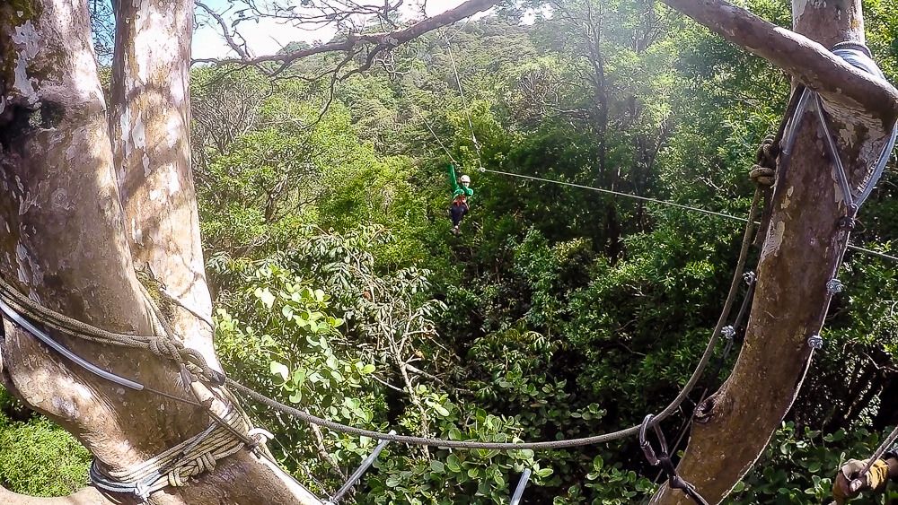 Monteverde Zip Line Tour with Original Canopy Tour