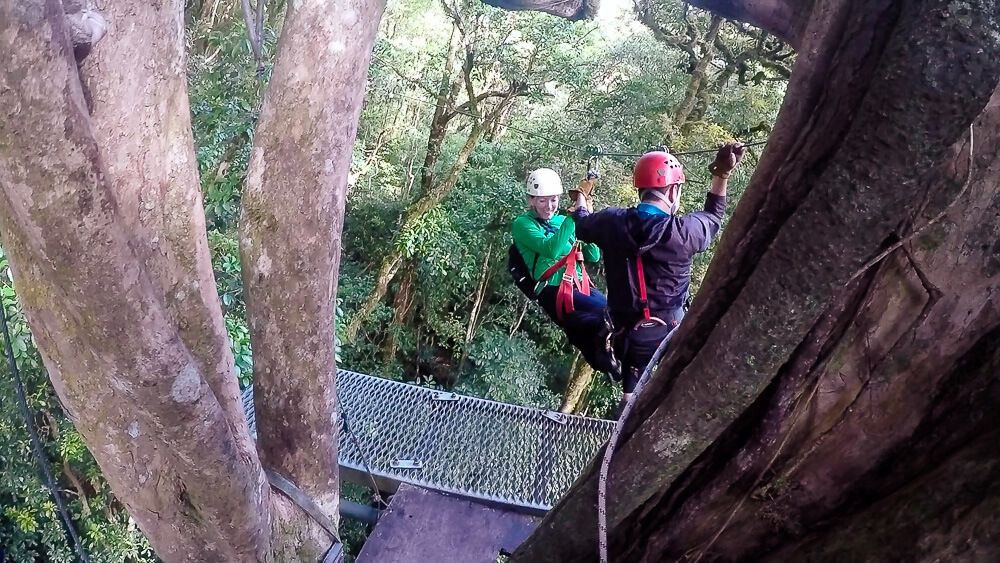 Monteverde Zip Line Tour with Original Canopy Tour