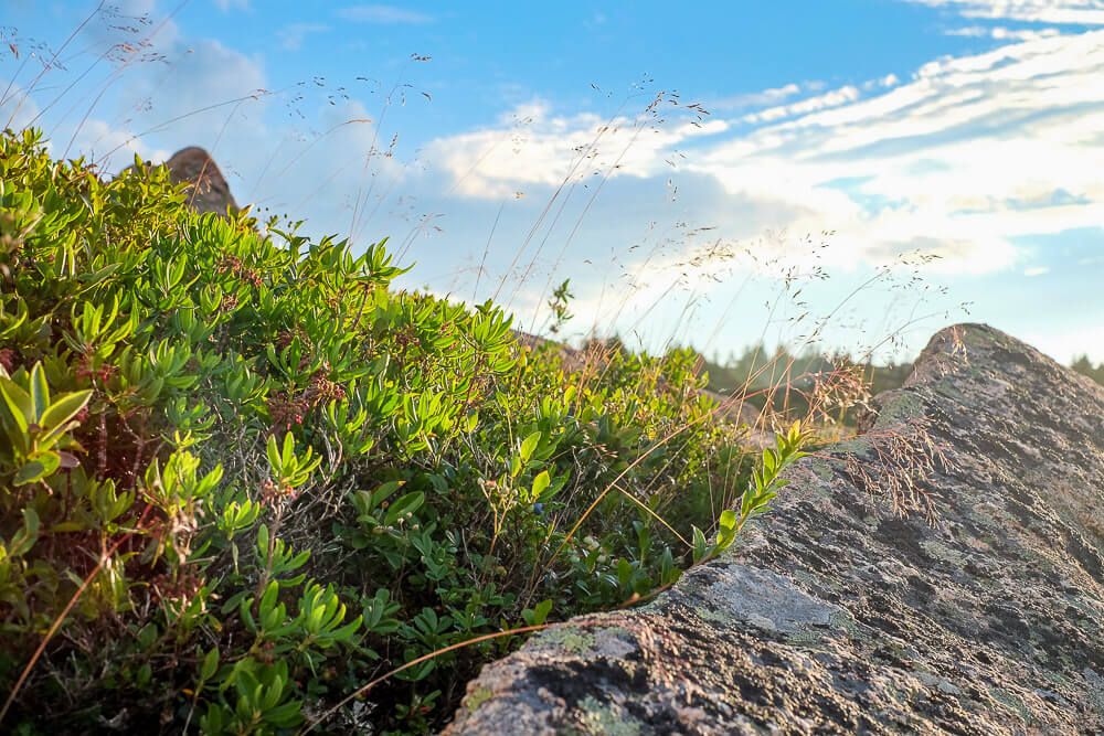 Photos of Bar Harbor: Cadillac Mountain