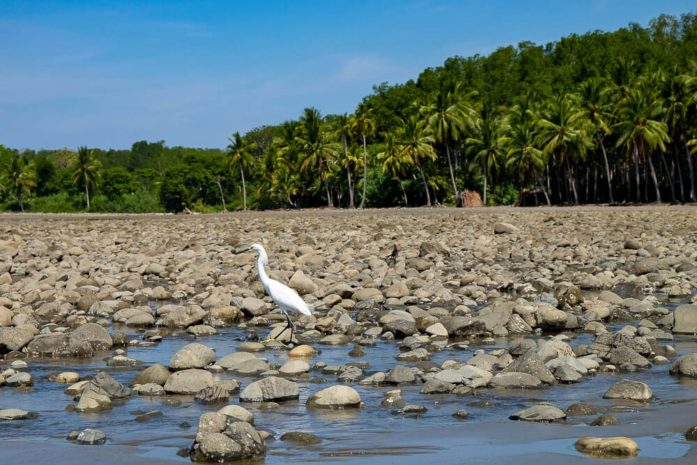 things to do in uvita