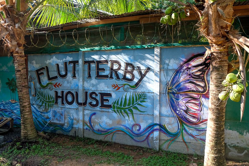 Uvita Hostel: The Flutterby House