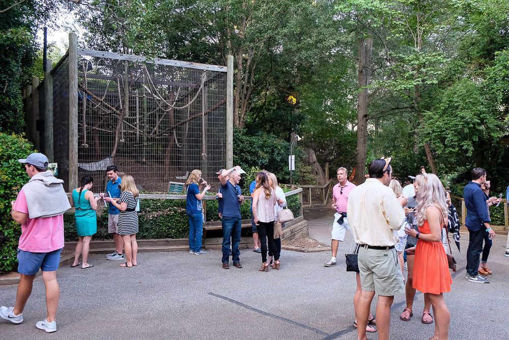 Sippin Safari at the Greenville Zoo