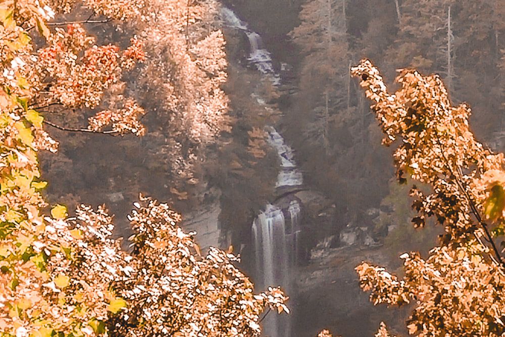 20 things to do in greenville in fall