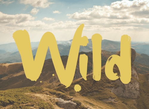 Wild: Wanna go for hike?