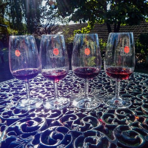 Taylor’s Port Cellar Tours (Or How I Learned to Love Port)