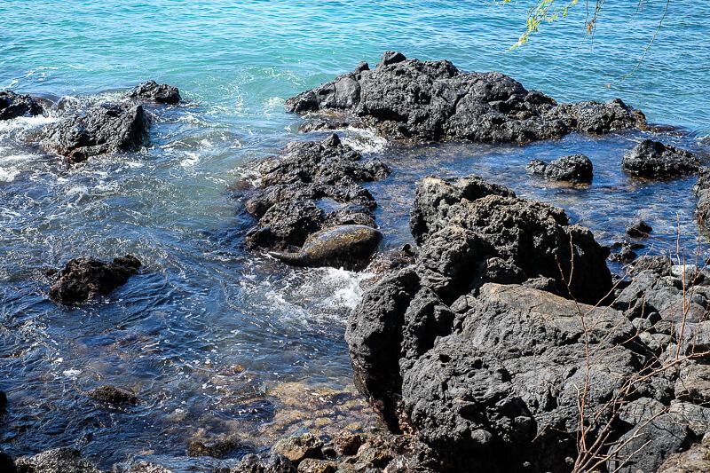 Snorkeling in Maui