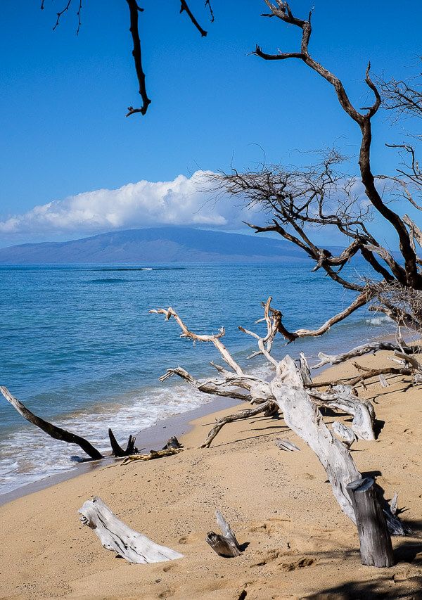 Surfing with Maui Surfer Girls