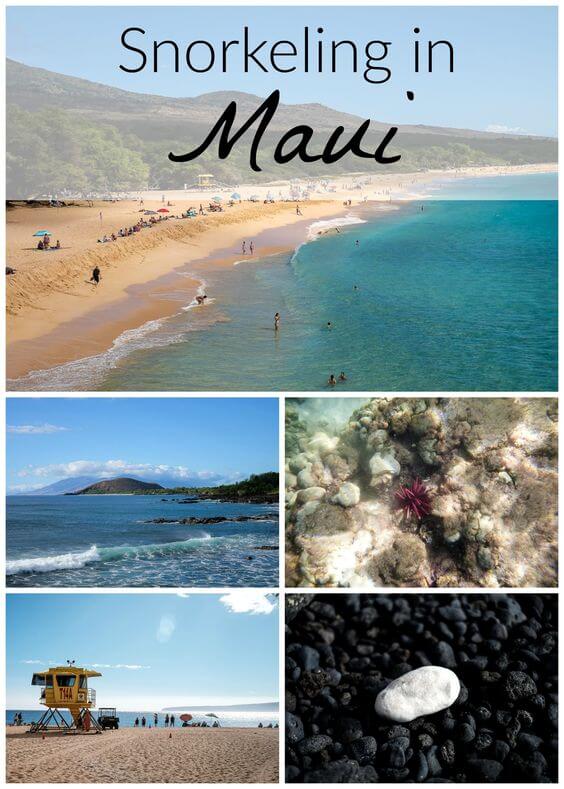 The snorkeling in Maui is unbelievable. But what if you want to see sea turtles? Here are 4 beaches in South Maui where you can snorkel with sea turtles.