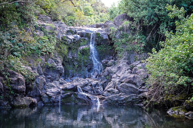 Road to Hana Guide: Bamboo Forest Trail