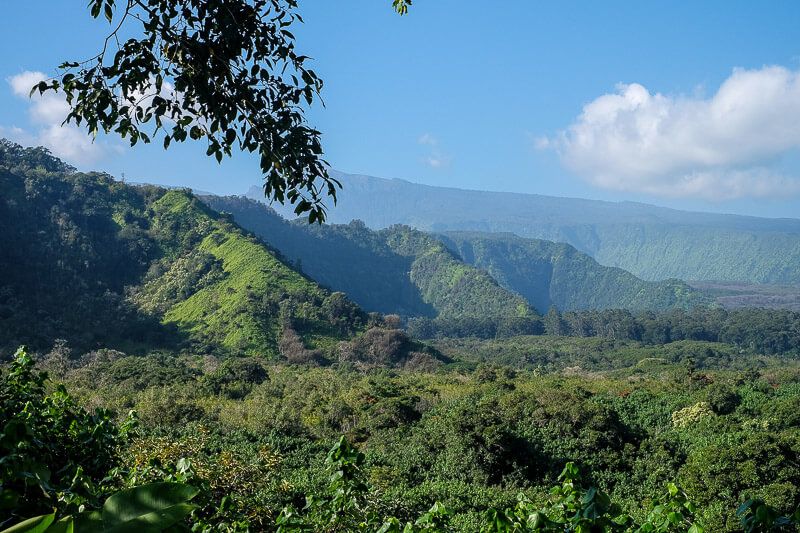 Road to Hana Guide: Wailua Valley State Wayside