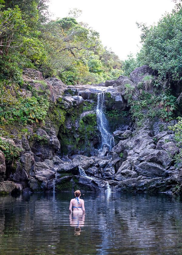 Road to Hana Guide: Bamboo Forest Trail