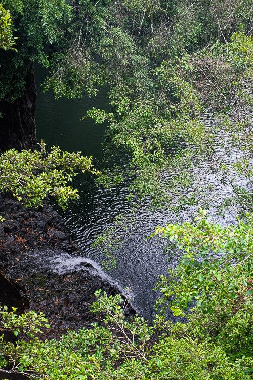 Pipiwai Trail to Waimoku Falls