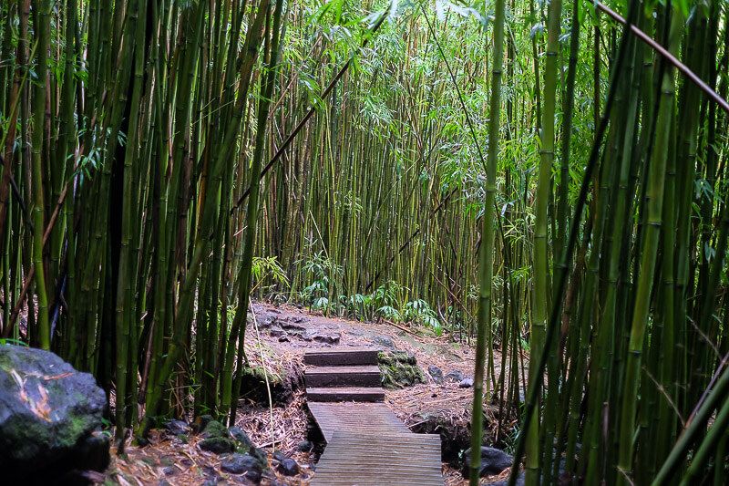 Pipiwai Trail to Waimoku Falls