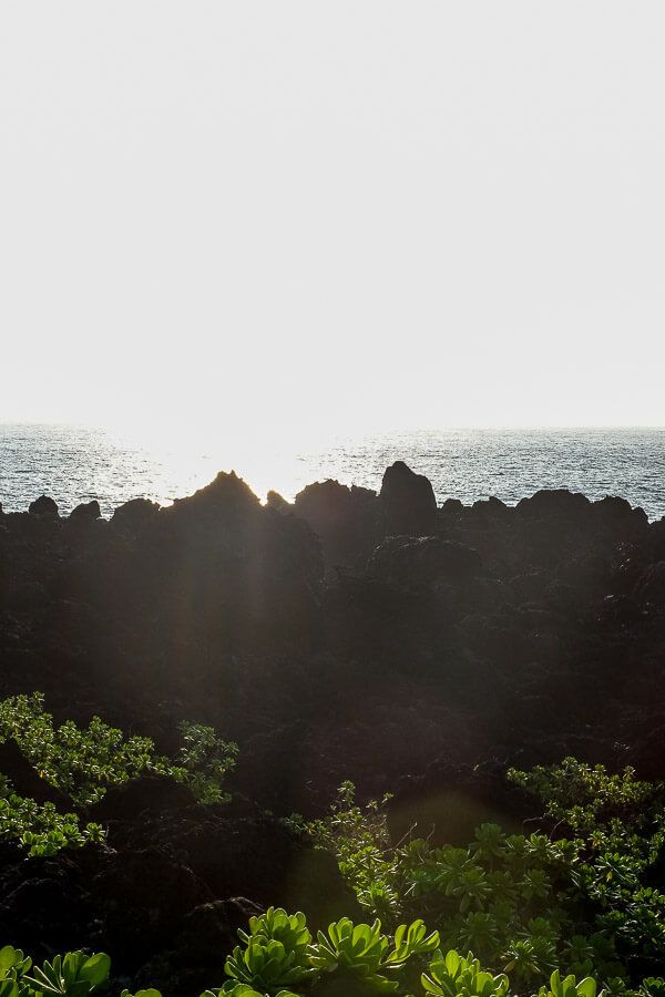 Camping on Maui at Waiʻanapanapa State Park