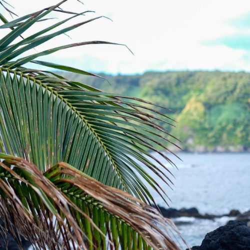 A Road to Hana Guide: The Stops You Need To See (And Those To Skip)